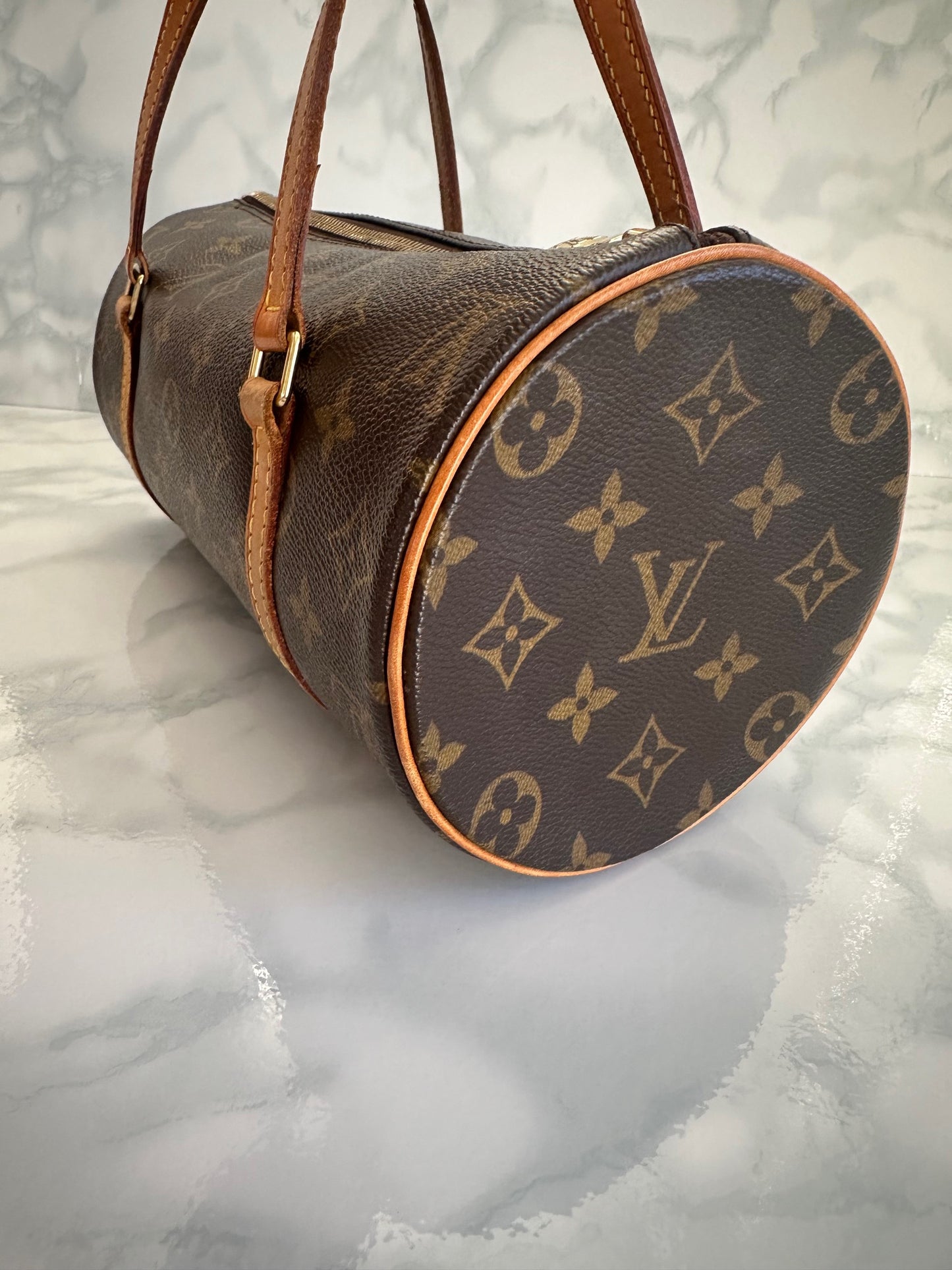 Papillon 26 LV Monogram