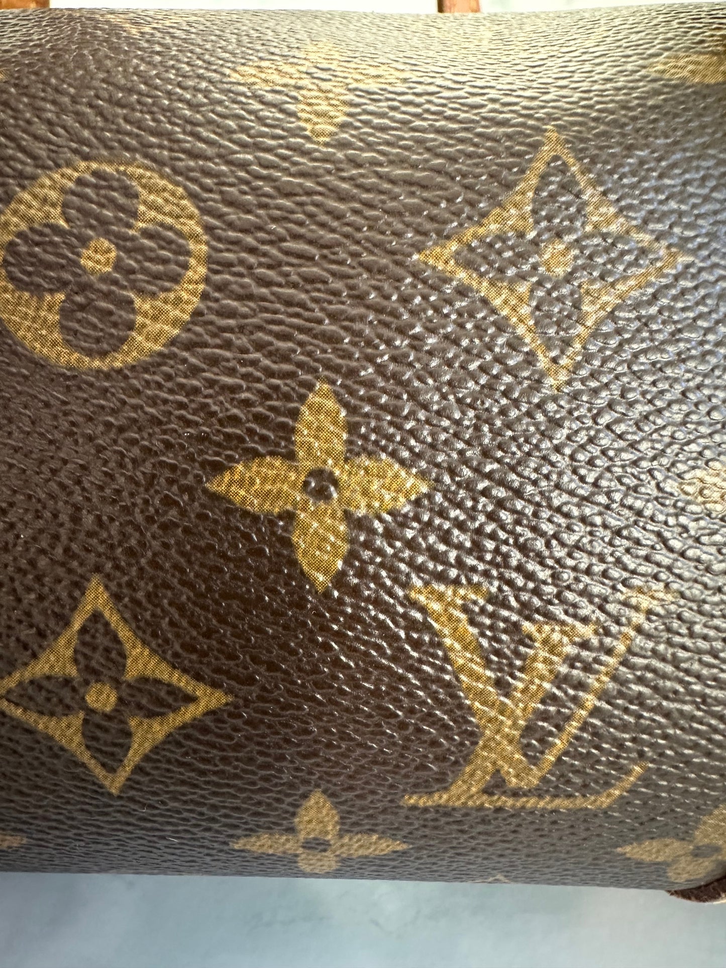 Papillon 26 LV Monogram