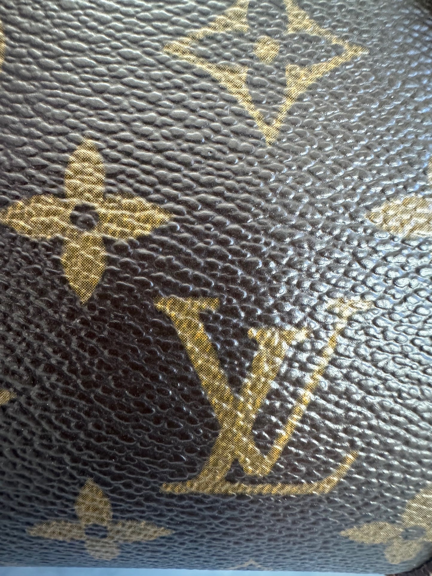 Papillon 26 LV Monogram