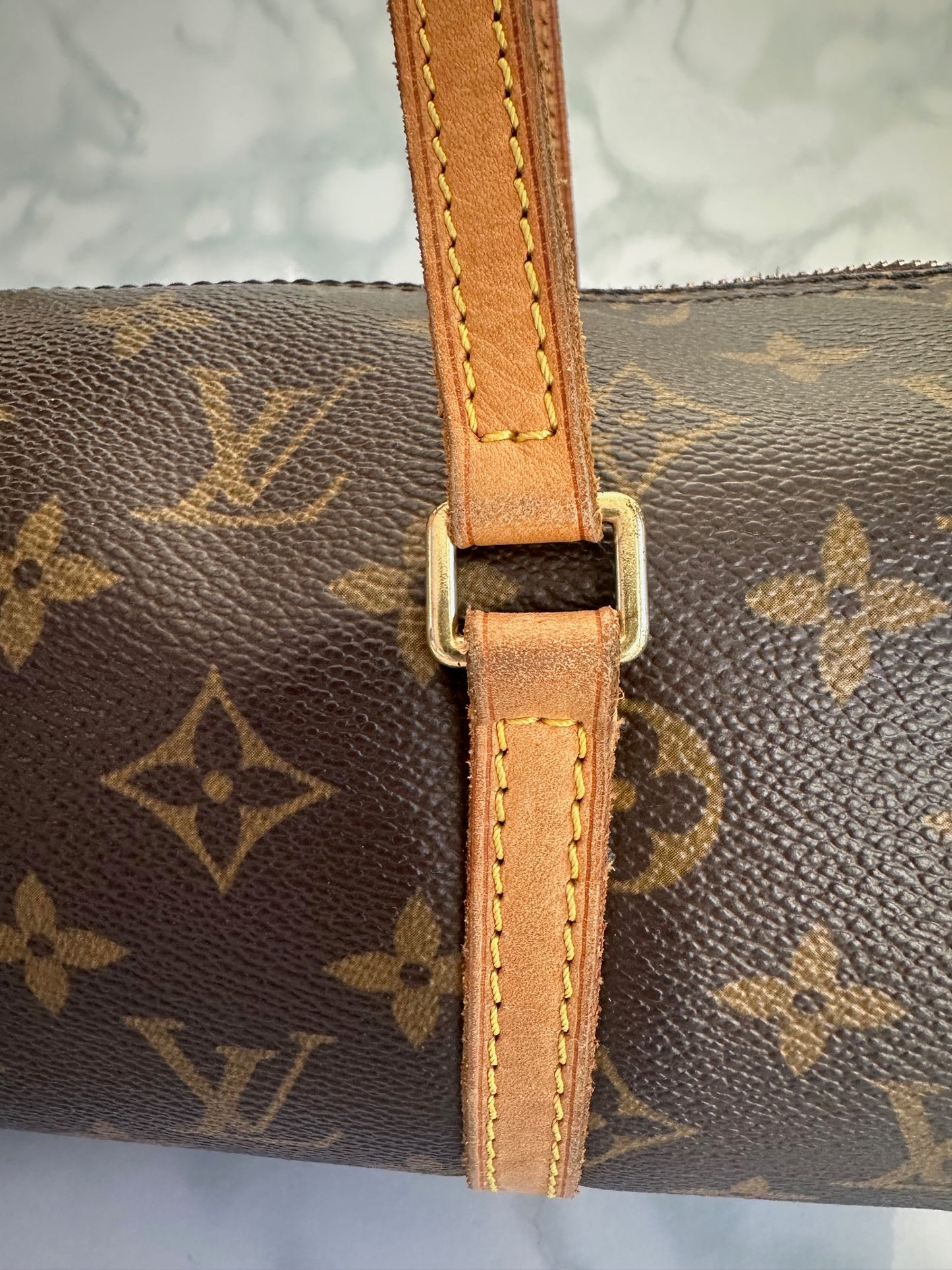 Papillon 26 LV Monogram